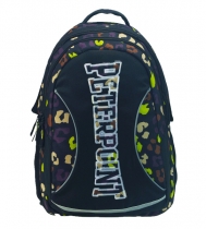 Школьный рюкзак с ортопедической спинкой Peter Point 141052-01